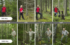 Skillnaden mellan skött och oskött skog