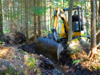 Dikning - Stora Enso Skog
