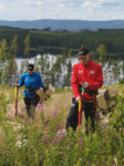 Plantering