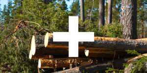 Naturvård - Stora Enso Skog