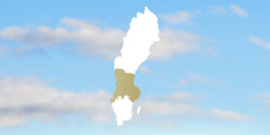 Våra Regioner - Stora Enso Skog