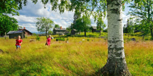 Barn springer - Stora Enso Skog