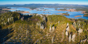 Omloppstider - Stora - Enso Skog