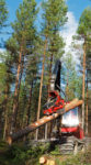 Gallring - Stora Enso Skog