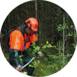 Planering av skogsskötseltjänster förvaltningsavtal